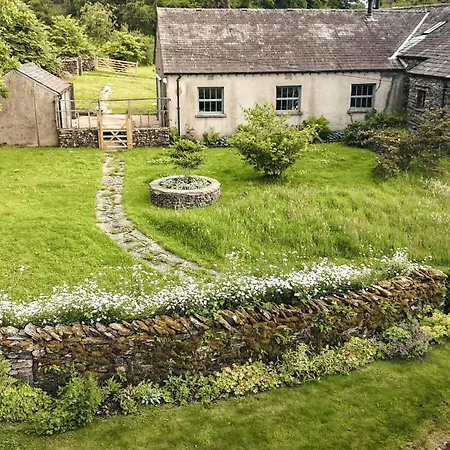 Yew * ويندرمير