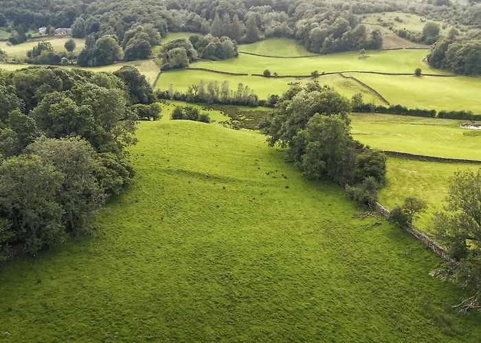 Yew * ويندرمير