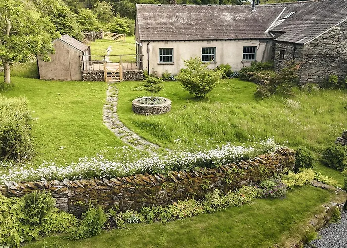 Yew * ويندرمير