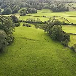 Yew * Windermere