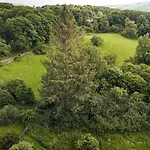 Yew
