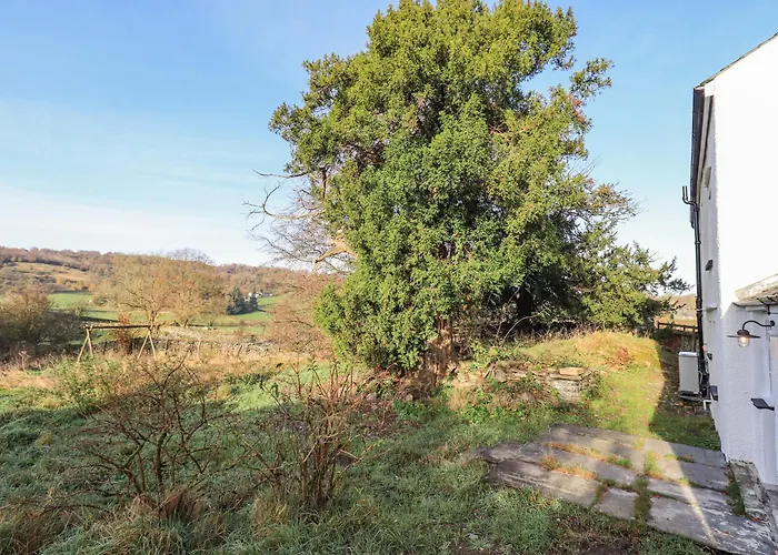 Prázdninový dům Yew Windermere